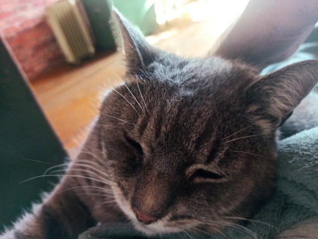 Выбрал раба