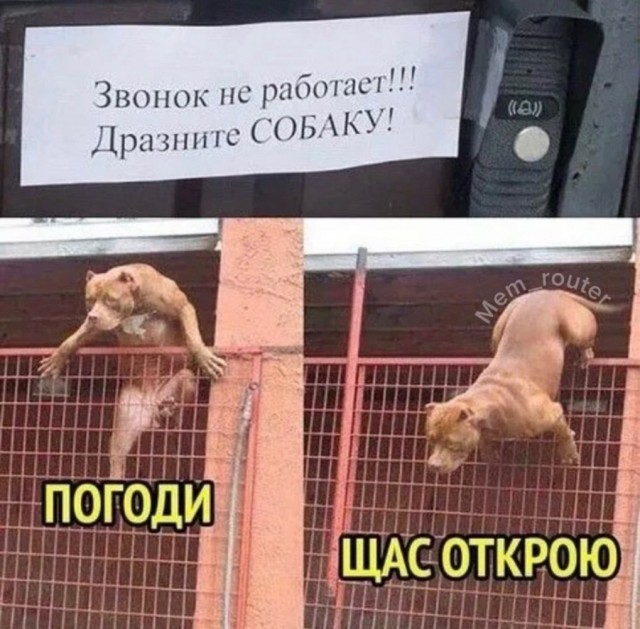 Деградация