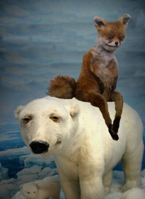 Не судите строго...