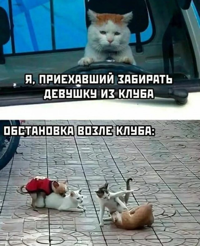Маленькая пятница 10.12