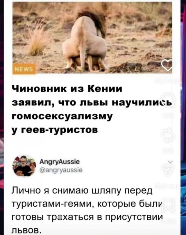 Среды картинки