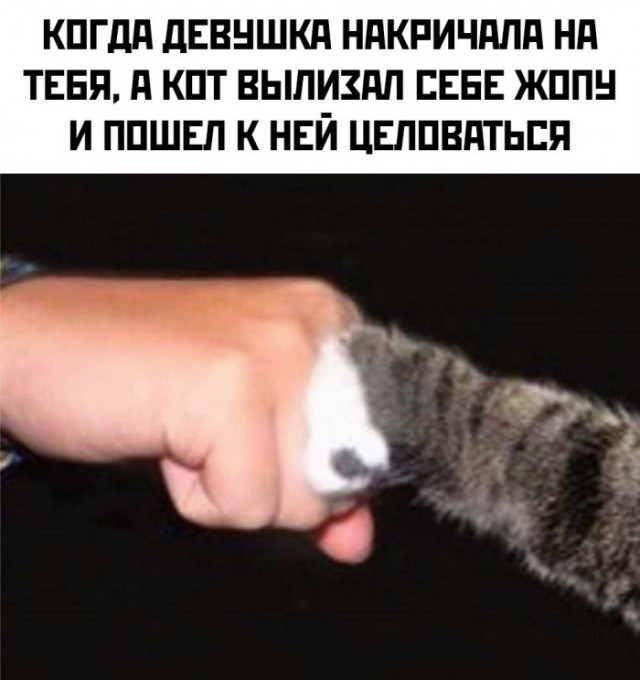 Веселые картинки в маленькую пятницу (25.02)