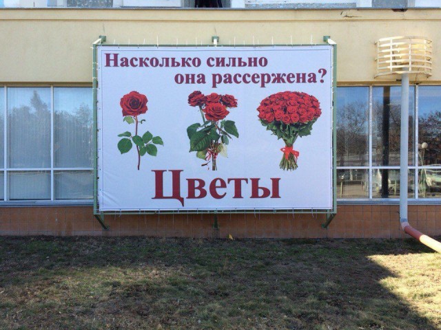 Аспарагусы