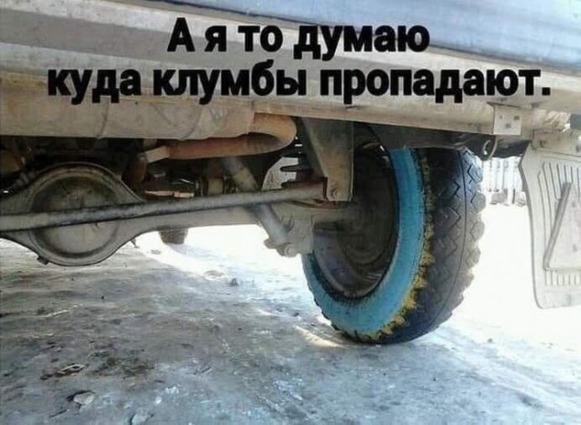 Картинки для деградации 221 (разной степени свежести)