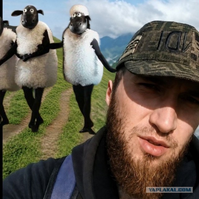 Жабки на фотошоп