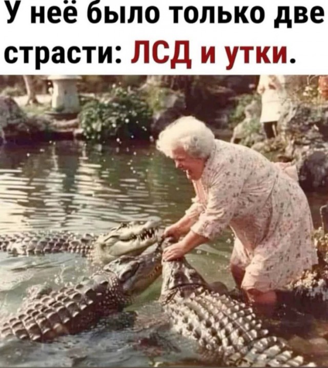 Картинки для деградации 246 (разной степени свежести)