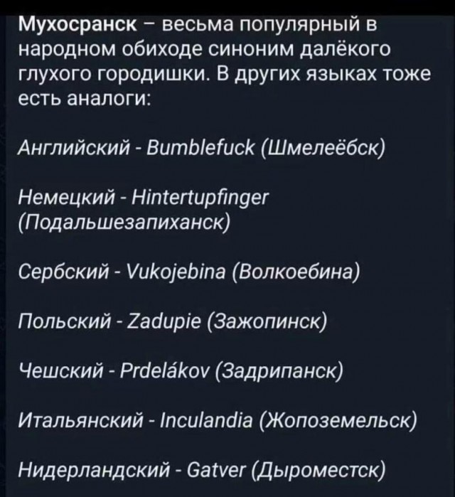 Побратимы Мухосранска