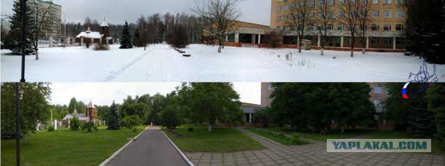 Зималето