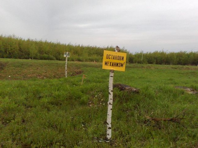 Воскресный тупнячок