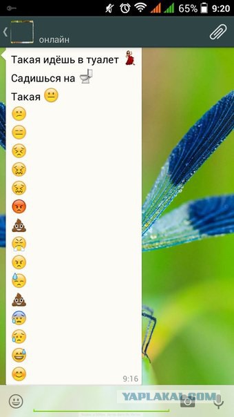 Муж повеселил