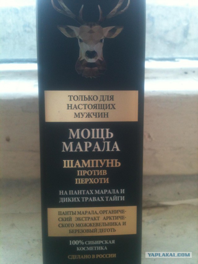 Тост
