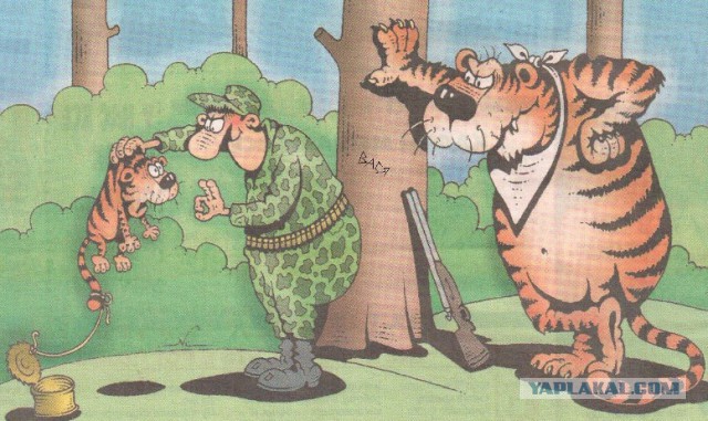 Карикатуры