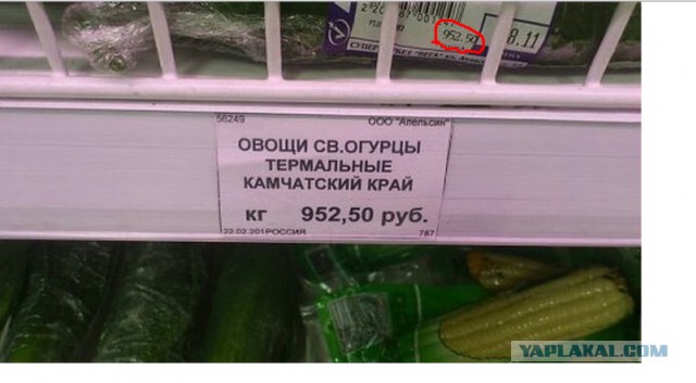 Всего одно фото