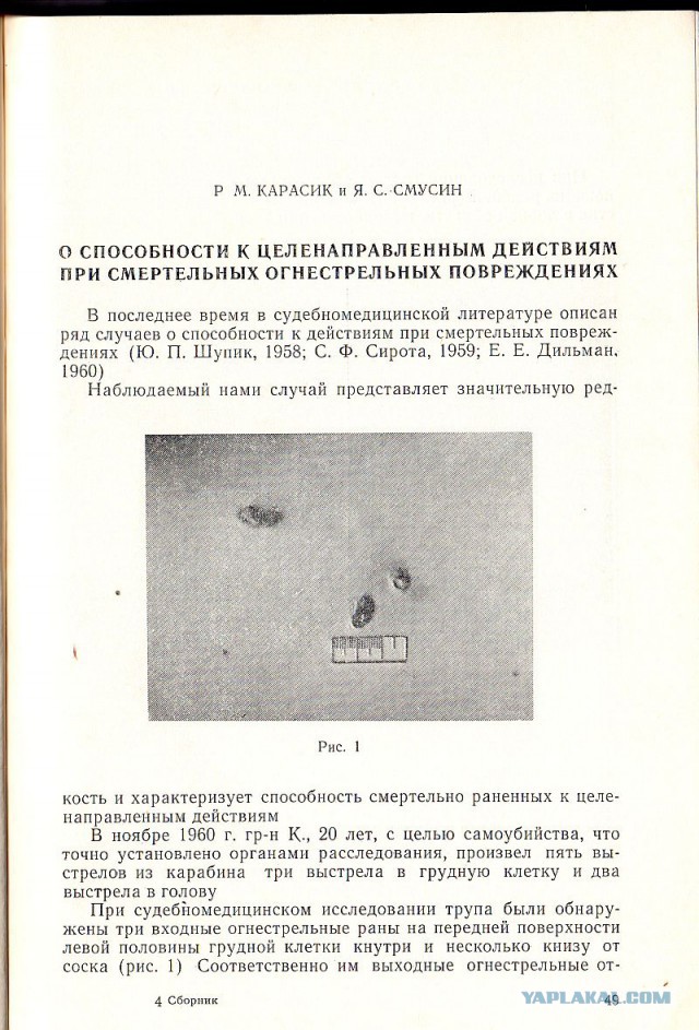 6 историй, которые не дадут спокойно спать
