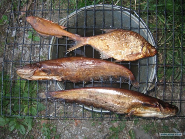 История об одном дне из моего отпуска