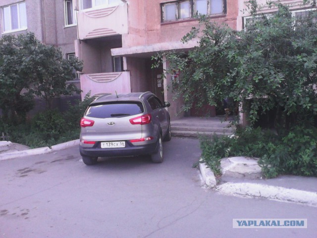 Битва за газон (часть 2)