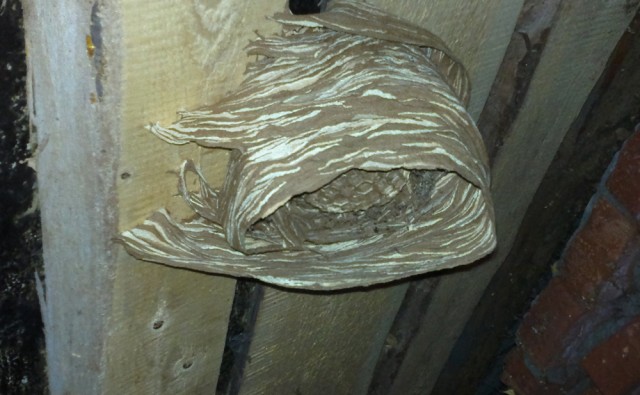 Коттедж опасных соседей