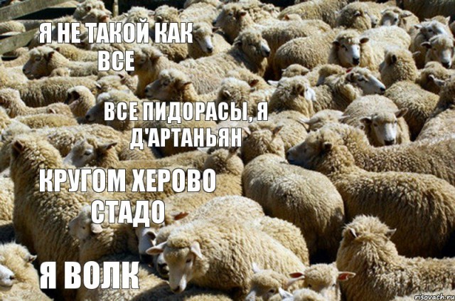 Космические обезьяны. Кружевные труселя и айфон