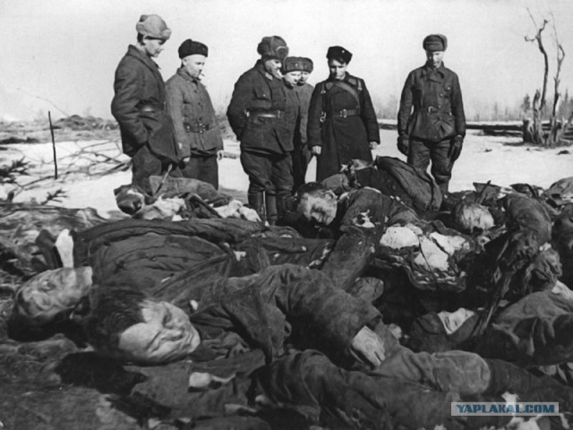 Русский солдат глазами гитлеровцев