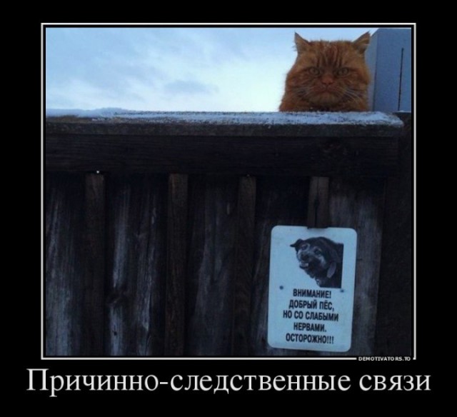 Подборка веселых демотиваторов на сегодня
