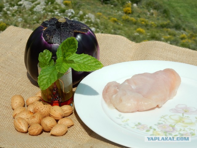 Мажорная грудка