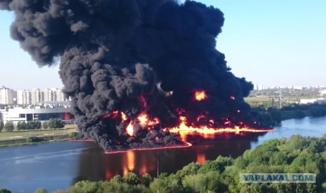 Последний гвоздь в крышку от мэра Москвы... финита ля комедия