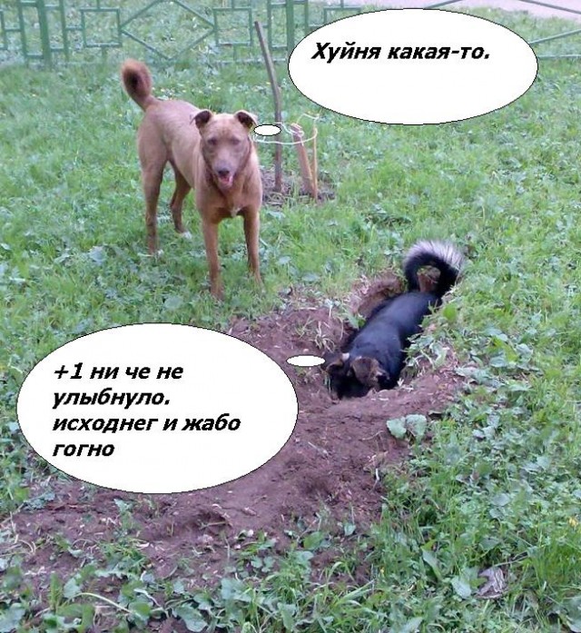 Фотожаба: да здесь где-то недалеко!