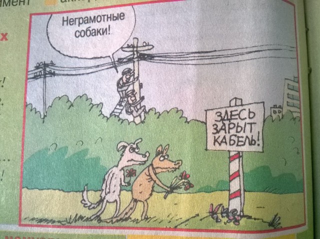 Догхантеры начали травить собак в Ижевске.