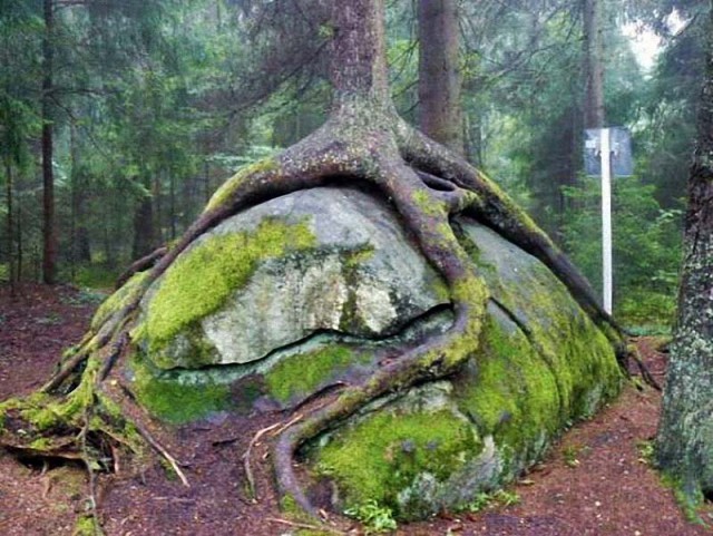 Фотографии из самых разных уголков планеты которые захватывают дух.