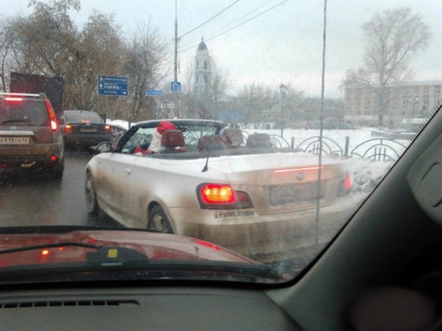Всячина. Картинки + тексты картинками