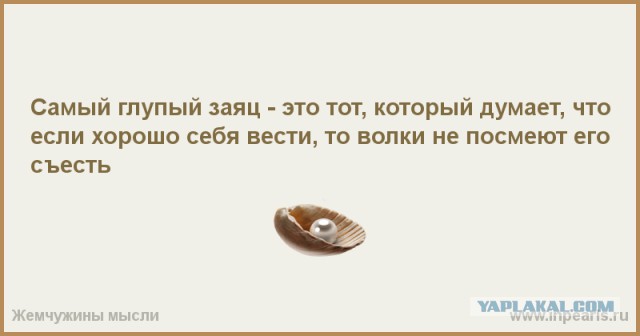 Тунеядцев отдадут на воспитание местным властям
