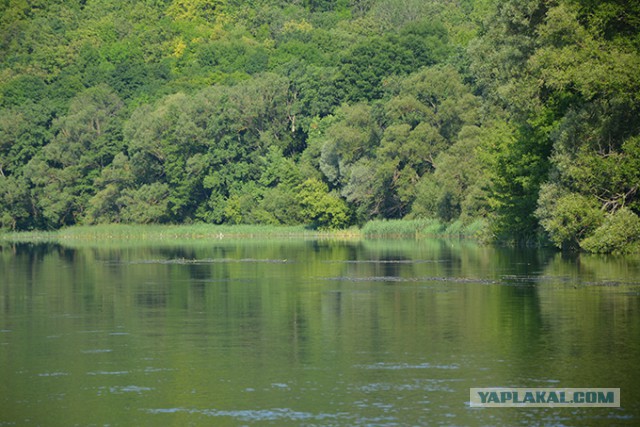 Водопроводная, бутилированная, фильтрованная: какую воду стоит пить