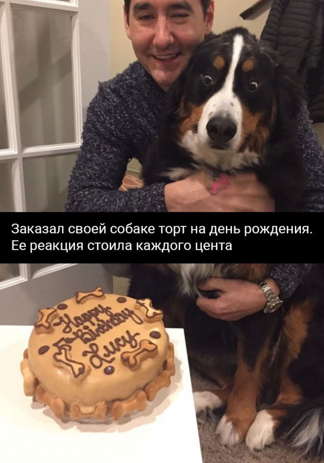 Подборка забавных животных