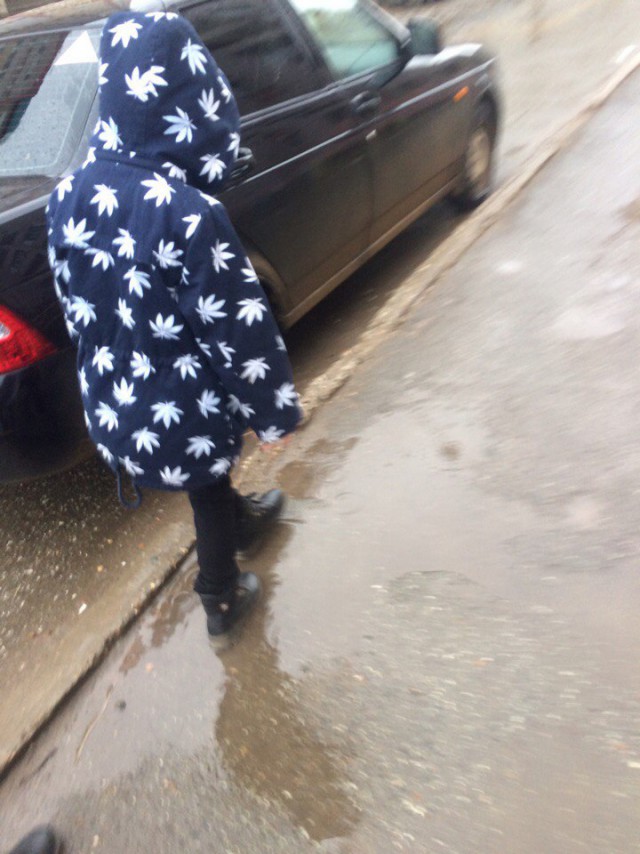 Подборка безудержного веселья