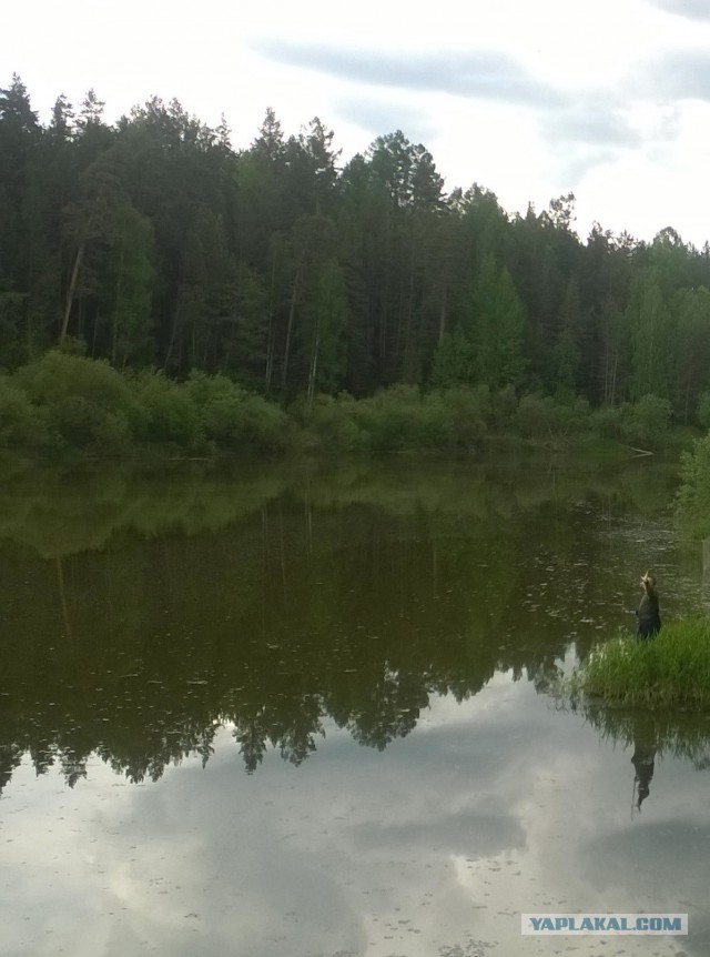 Беседка ФиС ЯПа