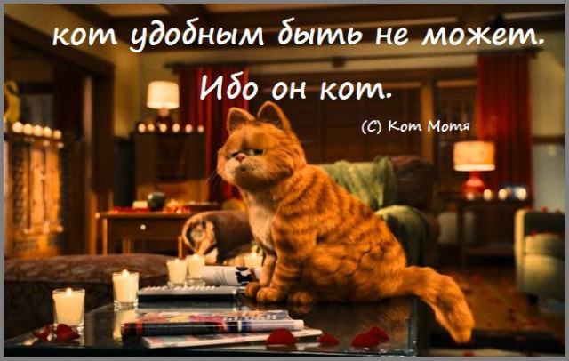 Забавные комментарии, шутки и фразы из этих ваших интернетов