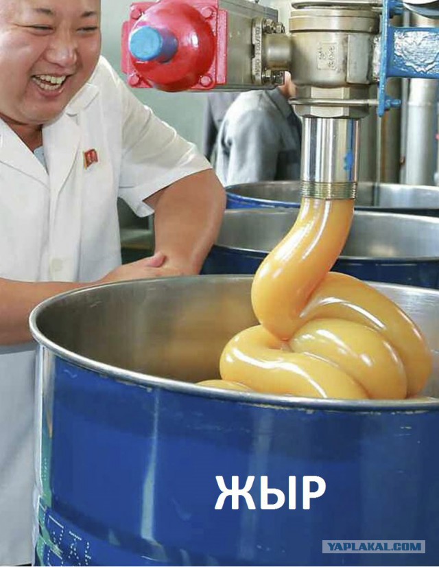 А вы говорите: Жыр..