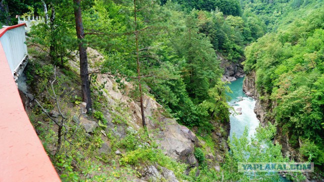 Просто Природа