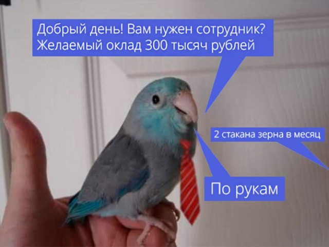 Нестандартный юмор