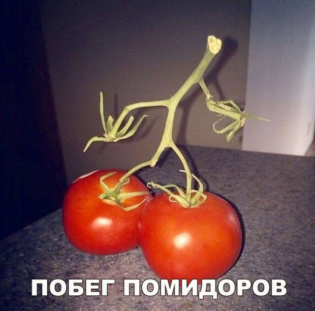 Подборка интересных и веселых картинок