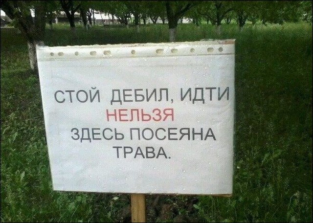 Подборка интересных и веселых картинок