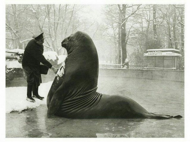 Интересные и редкие ретро-фотографии
