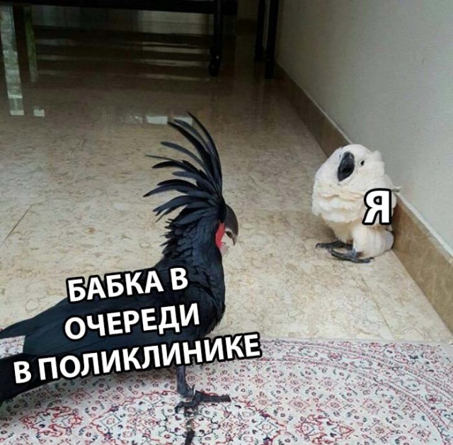 Нестандартный юмор