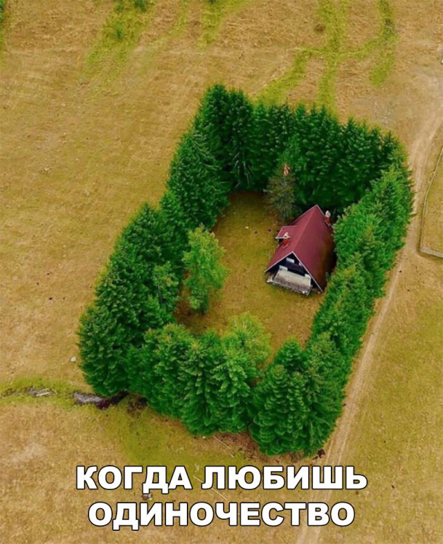 Нестандартный юмор