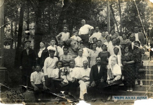 1941 год  до войны