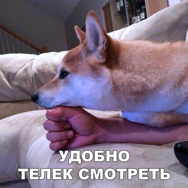 Нестандартный юмор