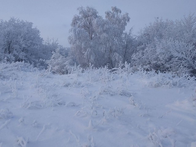 Деревенская Америка - 4
