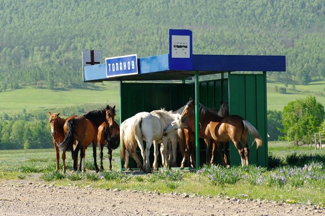 Что-то жарко сегодня...