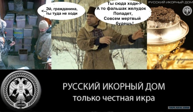 Конкурс на лучшую фотожабу против браконьеров.