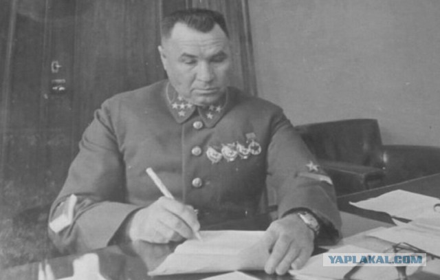 Как генерал Апанасенко прилюдно обматерил Сталина